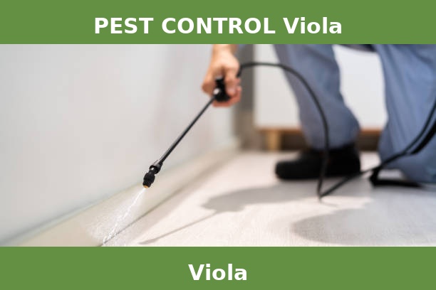 PEST CONTROL Viola